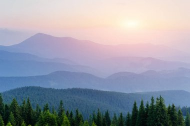 Harika sisli gün ve güneş ışığı parlak tepelerle. Dramatik sabah sahne. Karpat, Ukrayna, Europe.