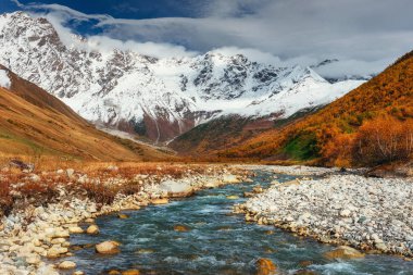 Karlı dağlar ve gürültülü dağ nehir. Georgia, Svaneti Avrupa