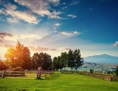 Alp dağ çayır sakin yaz görünümü. Europe