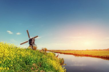 Eski Hollanda Rotterdam kanalda bahar yel değirmenleri. Hollanda.