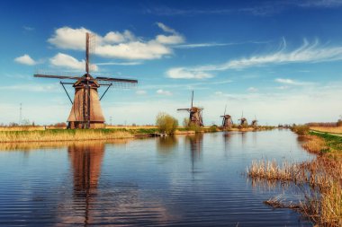 Renkli bahar günü ile geleneksel Hollanda Rotterdam kanalda yel değirmenleri. Ahşap iskele göl kıyısı yakınında. Holland. Hollanda.