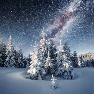 Kış ormanda süt uzay yolu. Dramatik ve güzel sahne. Tatil beklentisiyle. Karpat, Ukrayna, Europe.