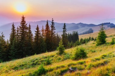Fantafantastic sisli gün ve güneş ışığı parlak tepelerle. Dramatik sabah sahne. Karpat, Ukrayna, Avrupa. Dramatik sabah sahne. Karpat Ukrayna Europe