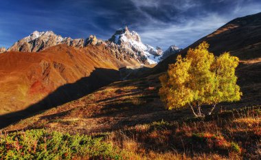 Sonbahar manzara ve güneşin karlı zirveleri. Ana Kafkas Ridge. Mountain View Dağı dır Mheyer, Gürcistan'dan. Europe