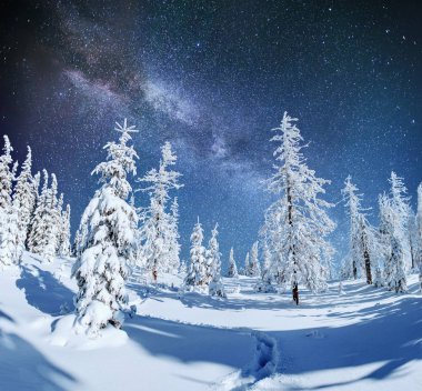 yıldızlı gökyüzü kış karlı gecede. New Year's Eve fantastik Samanyolu'nda. Yıldızlı gökyüzü karlı kış gecesi. Samanyolu fantastik bir yeni yıl arifesi var. Dağlarda kış yol