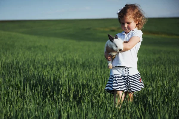 Малыш Кролик Поле Зеленой Пшеницы — стоковое фото