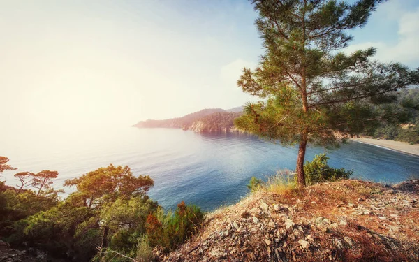 Vista Panorámica Costa Del Mar Mundo Belleza Turquía — Foto de Stock