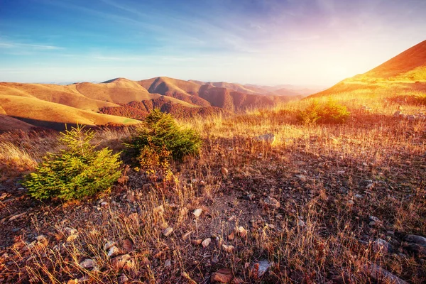 在秋高气爽的季节喀尔巴阡山脉 梦幻般的日落 乌克兰欧洲 — 图库照片