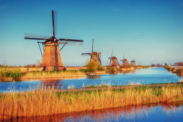 Carretera Que Conduce Los Molinos Viento Holandeses Desde Canal Rotterdam —  Fotos de Stock