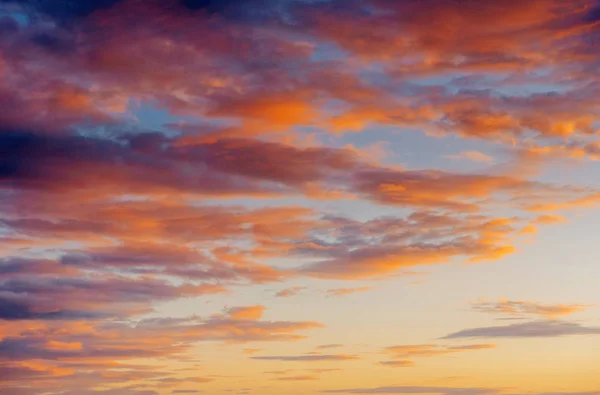 在夕阳下的粉红色的天空与积云的梦幻般的景色 — 图库照片