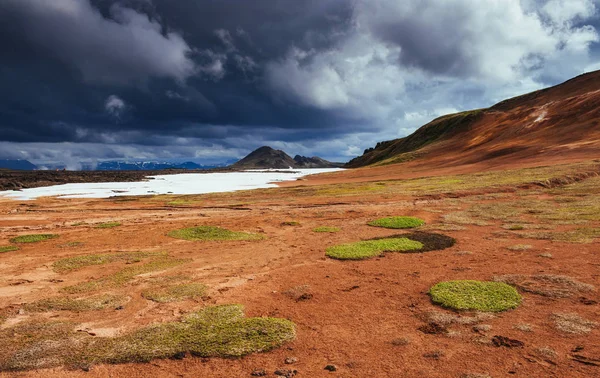 Pittoreschi Paesaggi Delle Foreste Delle Montagne Dell Islanda — Foto Stock