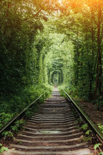 Túnel Natural Amor Emergindo Das Árvores Longo Ferrovia Ucrânia — Fotografia de Stock