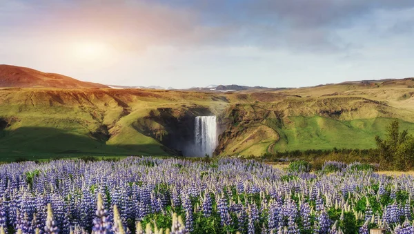 Großer Wasserfall Skogafoss Süden Von Island Der Nähe Der Stadt — Stockfoto