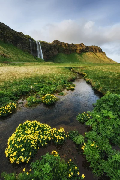 Seljalandfoss Водоспад Гарне Літо Сонячний День Європи Ісландії — стокове фото