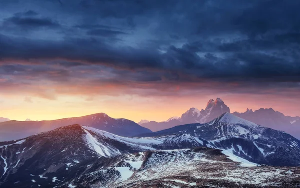 Magischen Winter Schneebedeckten Baum Sonnenuntergang Den Karpaten Ukraine Europa — Stockfoto