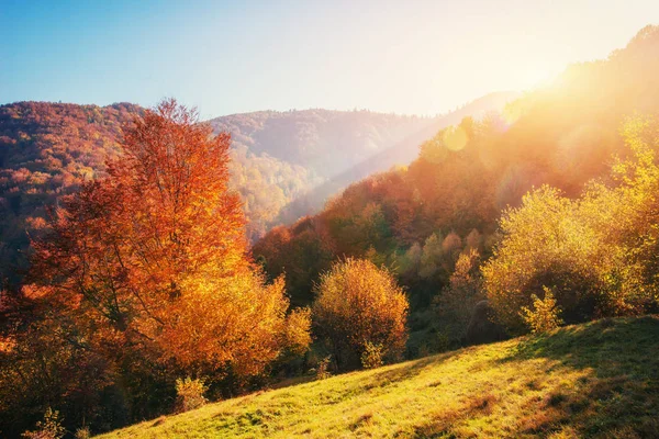 Pohoří Karpat Podzimní Sezóně Západu Slunce Evropa Ukrajina — Stock fotografie