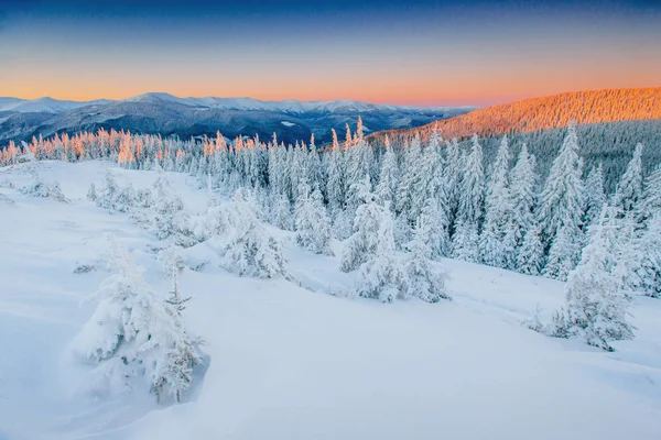 Paysage Hivernal Fantastique Coucher Soleil Magique Dans Les Montagnes Une — Photo