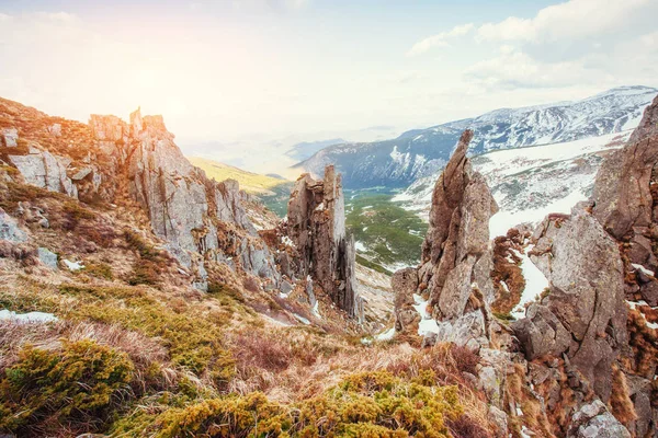 Paysage Printanier Coloré Chaînes Montagnes Dans Parc National Des Carpates — Photo