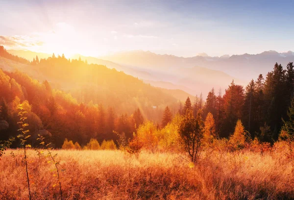 Cordilheira Nas Montanhas Cárpatas Temporada Outono Fantástico Pôr Sol Ucrânia — Fotografia de Stock