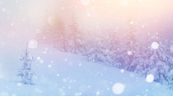 Загадочный Зимний Пейзаж Величественных Гор Зимой Волшебное Зимнее Заснеженное Дерево — стоковое фото