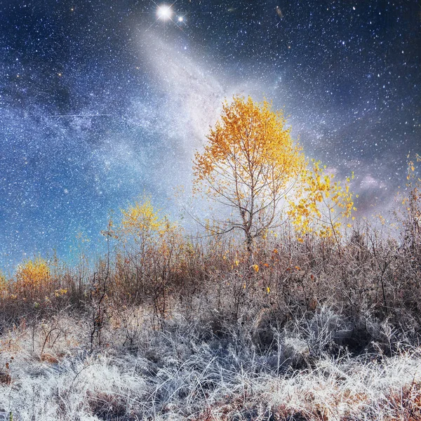幻想的な風景 星空と天の川の下山中冬の初期の頃の孤独な木 Nasa の礼儀 カルパティア ウクライナ ヨーロッパ — ストック写真