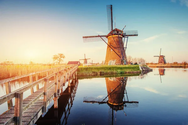 Molinos Viento Holandeses Tradicionales Del Canal Rotterdam Holanda —  Fotos de Stock