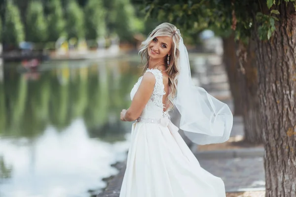 Ritratto Sposa Felice Posa Con Velo — Foto Stock