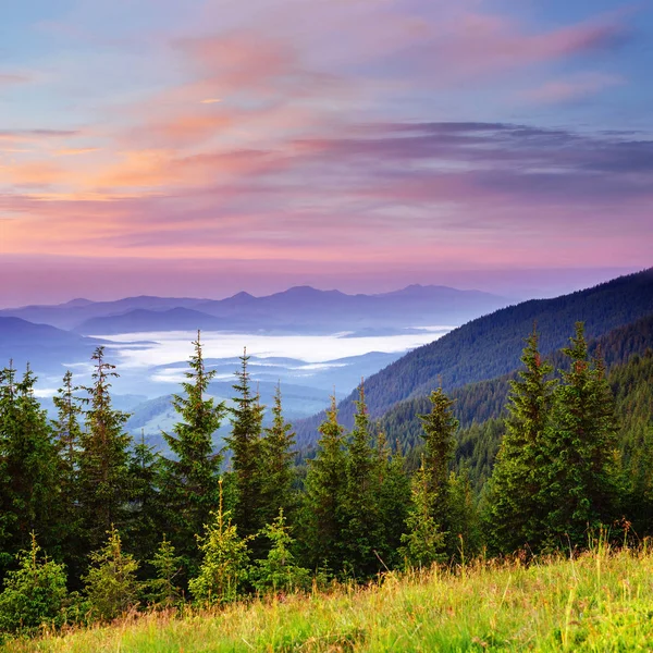 Mooie Zomerse Berglandschap Blauwe Kleur Van Bergen Tijdens Zonsondergang Dramatische — Stockfoto