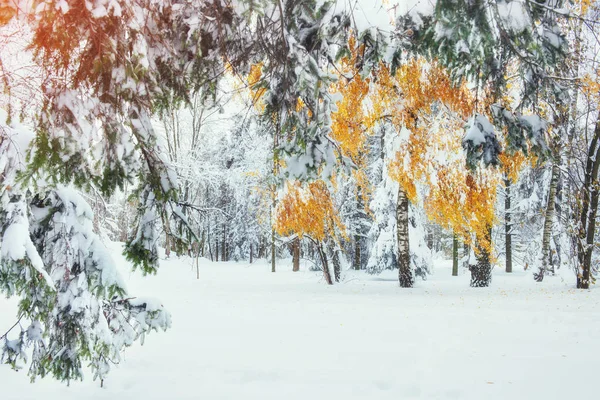 月最初の冬の雪と山のブナの森 カルパティア山脈 ウクライナ ヨーロッパ — ストック写真