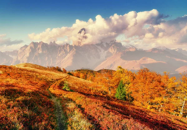 山の秋の道 幻想的な積雲 劇的な空 劇的なシーン ヨーロッパ — ストック写真