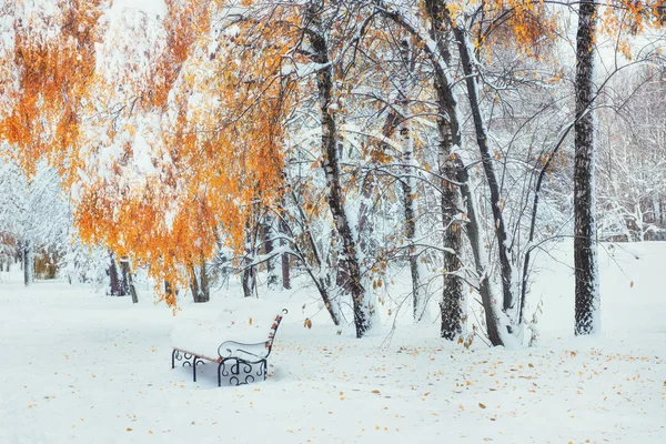 Árboles Cubiertos Nieve Con Hojas Bancos Otoño Parque Ciudad Fantásticos — Foto de Stock