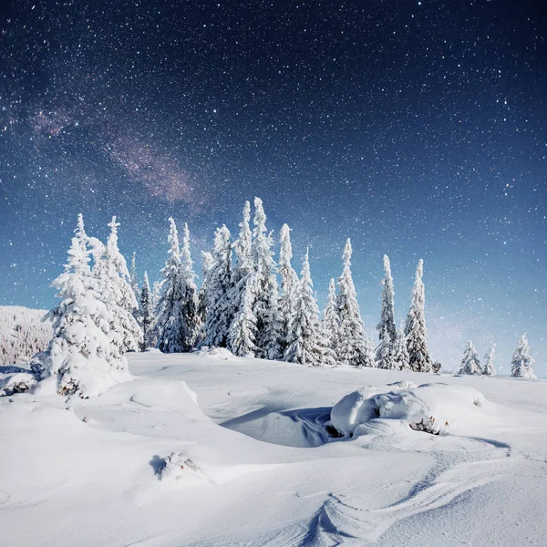 冬の雪の夜の星空を 幻想的な天の川の大晦日 星空雪に覆われた冬の夜 天の川が素晴らしい大晦日です — ストック写真