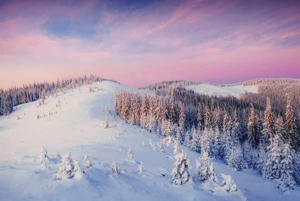 Geheimnisvolle Winterlandschaft Majestätische Berge Winter Magischen Winter Schneebedeckten Baum Europa — Stockfoto