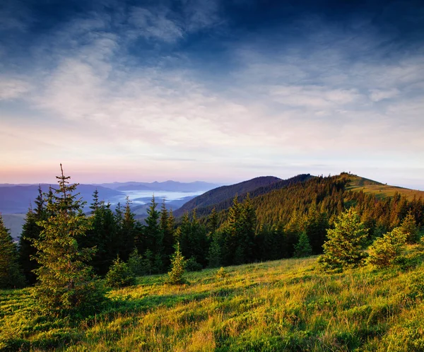 Beautiful Summer Mountain Landscape Dramatic Scene Carpathian Ukraine Europe Artistic — Stock Photo, Image