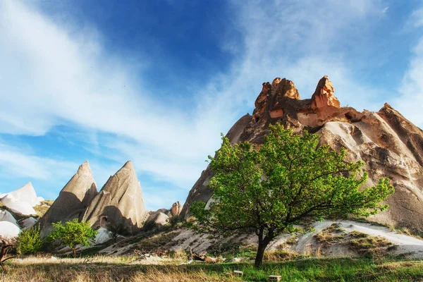 Increíble Puesta Sol Sobre Capadocia Turquía Mundo Belleza Europa — Foto de Stock