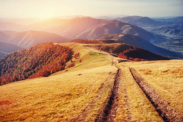 골목입니다 아름다움의 세계입니다 Carpathians 우크라이나 — 스톡 사진