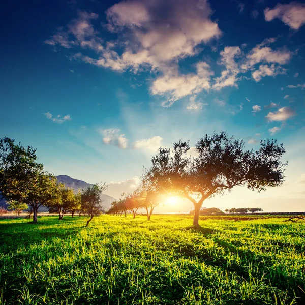 Soleil Couche Sur Montagne Monde Beauté Sicile Italie Europe — Photo