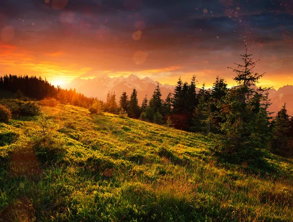 Beautiful Summer Mountain Landscape Blue Color Mountains Sunset Dramatic Scene — Stock Photo, Image