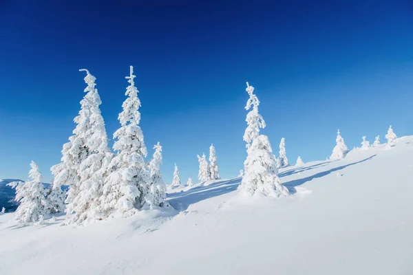 Geheimnisvolle Winterlandschaft Majestätische Berge Winter Vorfreude Auf Den Urlaub Dramatische — Stockfoto