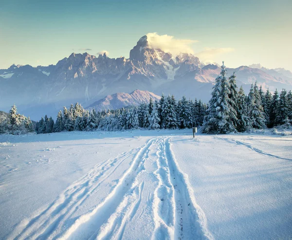 Carretera Invierno Escena Dramática Cárpatos Ucrania Europa — Foto de Stock