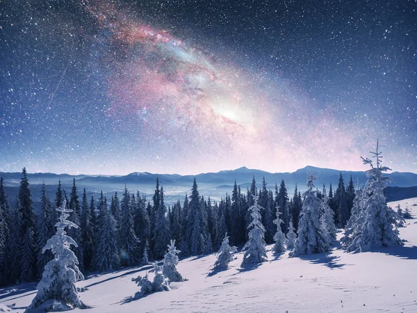 Cielo Estrellado Invierno Noche Nevada Fantástica Vía Láctea Víspera Año — Foto de Stock