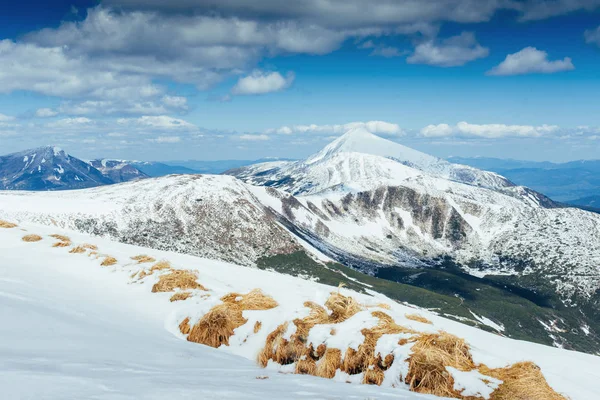 Mystérieux Paysage Hivernal Montagnes Majestueuses Hiver Route Hiver Dans Les — Photo