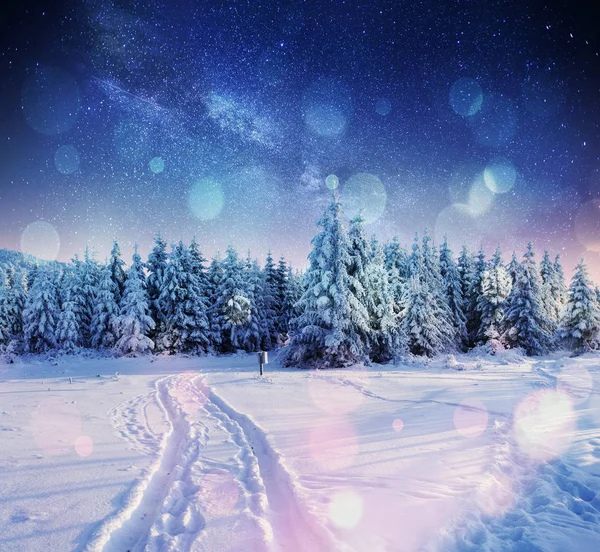 Hvězdné Nebe Zasněžené Zimní Noci Fantastický Mléčné Dráhy Předvečer Nového — Stock fotografie