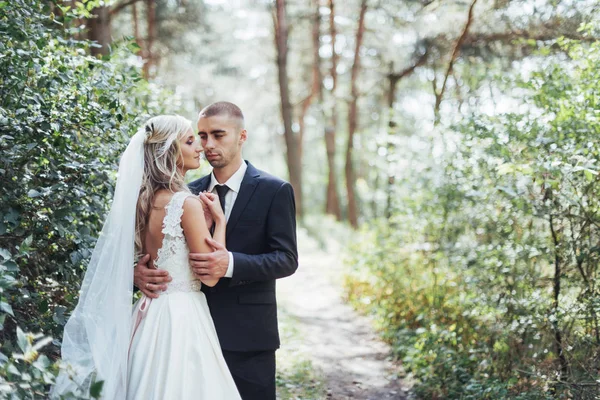 Mutlu Genç Çiftin Mutlu Gününde Fotoğrafçılara Poz Veriyor Düğün Günü — Stok fotoğraf