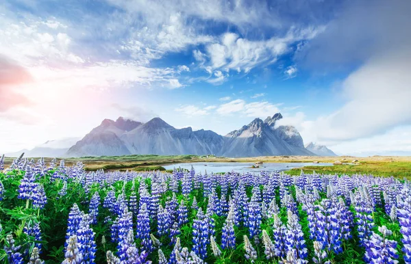 Het Schilderachtige Landschap Van Bossen Bergen Van Ijsland Wilde Blauwe — Stockfoto