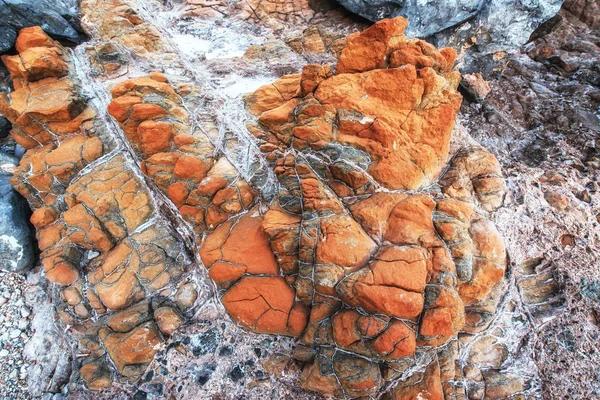 Güzel Desen Taş Coast — Stok fotoğraf