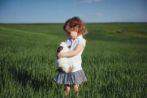 Baby Konijn Een Veld Van Groene Tarwe — Stockfoto