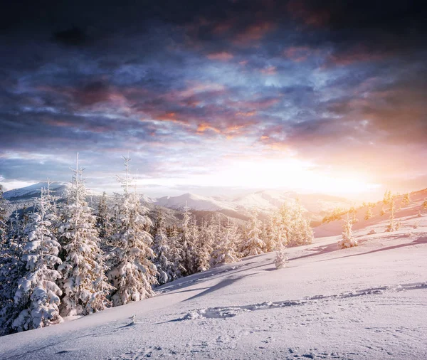 Fantástico Paisaje Invernal Escalones Algo Que Conduce Las Montañas Día —  Fotos de Stock