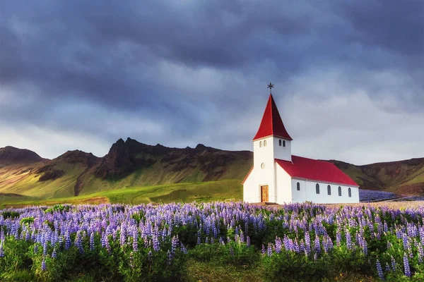 Lutherse Kerk Vik Ijsland Schoonheid Wereld — Stockfoto