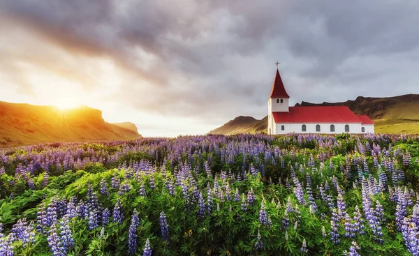 Evangélikus Templom Vik Ben Izland Szépség Világ — Stock Fotó